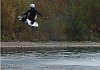 Wakeboarding